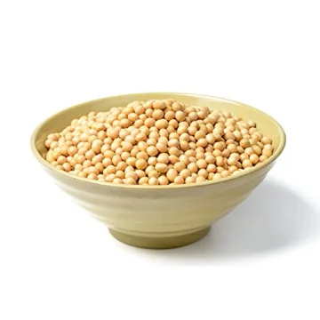 Hunza Organic Soybeans (2 lbs) - Affordable Protein Source