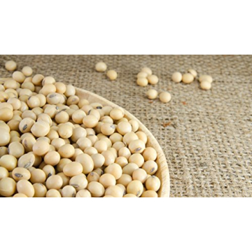 Hunza Organic Soybeans (2 lbs) - Affordable Protein Source