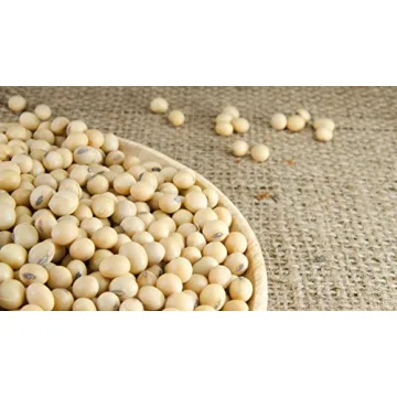 Hunza Organic Soybeans (2 lbs) - Affordable Protein Source