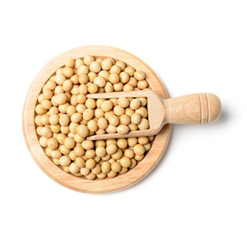 Hunza Organic Soybeans (2 lbs) - Affordable Protein Source