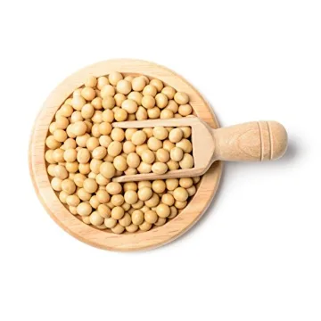 Hunza Organic Soybeans (2 lbs) - Affordable Protein Source