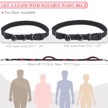 VIVAGLORY Hands-Free Dog Leash for Medium to Large Dogs