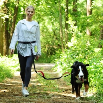 VIVAGLORY Hands-Free Dog Leash for Medium to Large Dogs