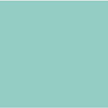 Cricut Infusible Ink Sheets - Sublimation Transfer Paper, (2) 12" x 12" Transfer Sheets & (2) Butcher Paper, Create Designs with Cricut Blanks, Compatible with Cricut Maker & Explore, Mint