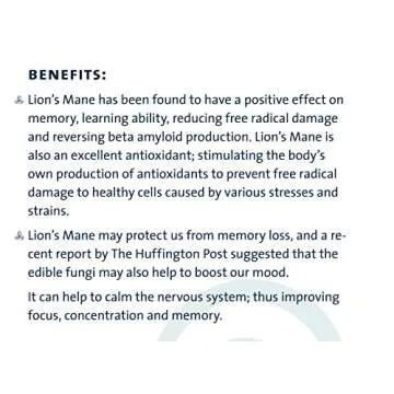 PURICA - Lion's Mane Micronized Mushrooms, 120 Vegan Capsules - Promotes Cognitive Health - Focus and Memory Support