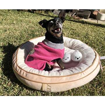 TONBO Soft Plush Small Cute and Cozy Food Dog Cat Bed, Washer and Dryer Friendly (Dim Sum)