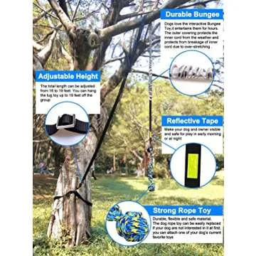 LOOBANI Bungee Tug Toy for All Dogs - Interactive Outdoor Fun