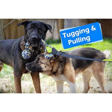 LOOBANI Bungee Tug Toy for All Dogs - Interactive Outdoor Fun
