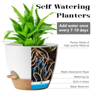 Self Watering Plant Pots for Indoor Plants in 5 Sizes