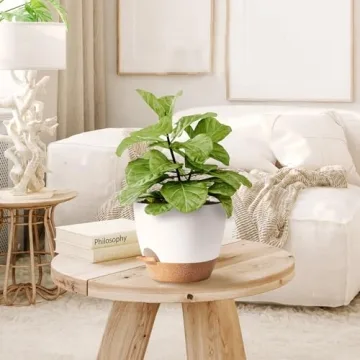 Self Watering Plant Pots for Indoor Plants in 5 Sizes