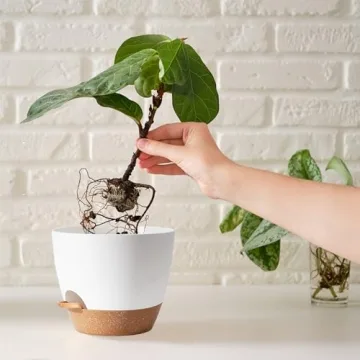 Self Watering Plant Pots for Indoor Plants in 5 Sizes