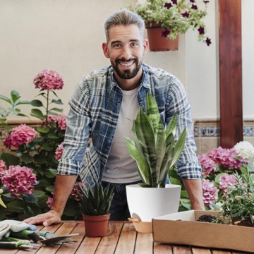 Self Watering Plant Pots for Indoor Plants in 5 Sizes