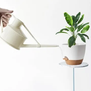 Self Watering Plant Pots for Indoor Plants in 5 Sizes