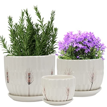 Laerjin Ceramic Plant Pots with Saucers Set of 3