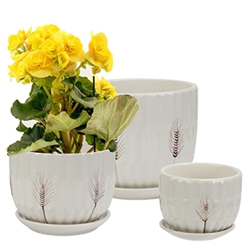 Laerjin Ceramic Plant Pots with Saucers Set of 3