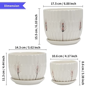 Laerjin Ceramic Plant Pots with Saucers Set of 3