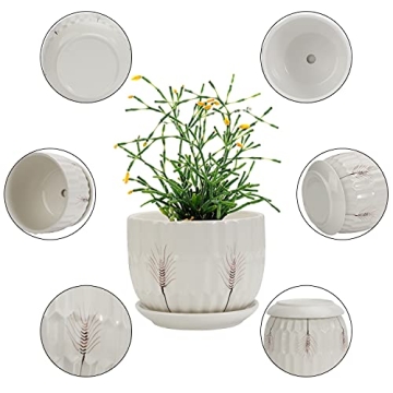 Laerjin Ceramic Plant Pots with Saucers Set of 3