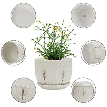 Laerjin Ceramic Plant Pots with Saucers Set of 3
