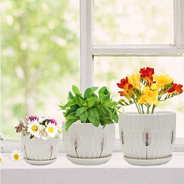 Laerjin Ceramic Plant Pots with Saucers Set of 3