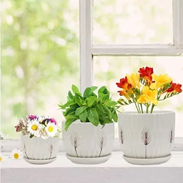 Laerjin Ceramic Plant Pots with Saucers Set of 3