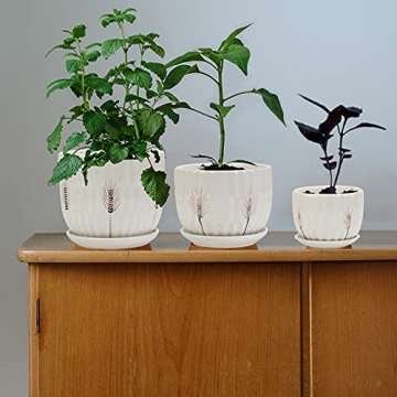 Laerjin Ceramic Plant Pots with Saucers Set of 3