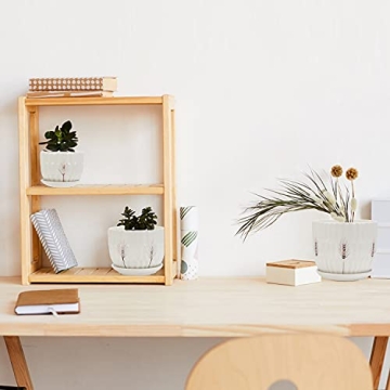 Laerjin Ceramic Plant Pots with Saucers Set of 3