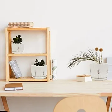 Laerjin Ceramic Plant Pots with Saucers Set of 3