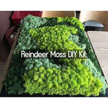 Prefleur Preserved Reindeer Craft Moss Natural Green DIY Kit Gardenning Art Wall Florist Decor Easter Table Decor Wedding Decor (3 OZ)(Green-02)