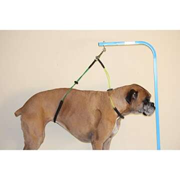 Downtown Pet Supply No Sit Haunch Holder for Dog Grooming Arm and Pet Grooming Table - Dog Grooming ...