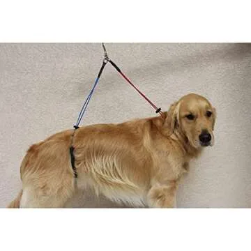 No Sit Haunch Holder for Dog Grooming by Downtown Pet Supply