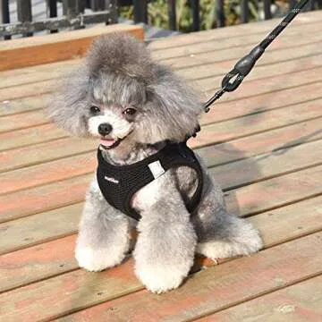 matilor Dog Harness Step-in Breathable Puppy Cat Dog Vest Harnesses for Small Medium Dogs Black
