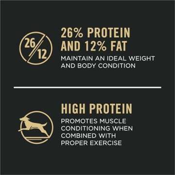 Purina Pro Plan Joint Health for Dogs, Large Breed Dog Food Dry, Shredded Blend Chicken & Rice Formula - 34 lb. Bag