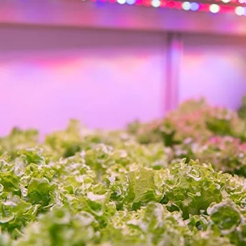 Feit Electric Grow Light 19W 2ft LED for Indoor Plants and Gardens, Full Spectrum Dual Bulb Grow Light, Energy Efficient, GLP24FS/19W/LED