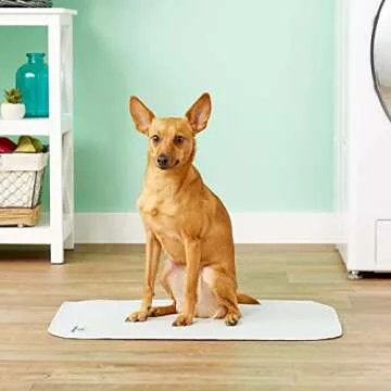 Pet Parents Pawtect Washable Dog Pee Pads for All Pets