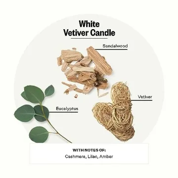 Apotheke Luxury Scented Candles for Home, White Vetiver - Aromatherapy Jar Candle with Soy Wax Blend