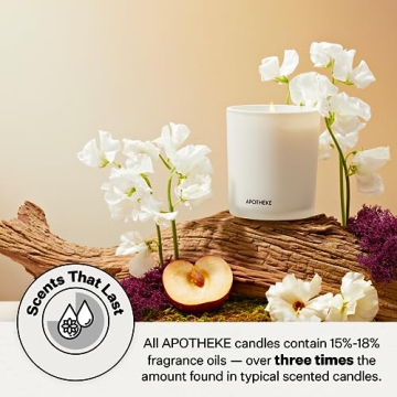Apotheke Luxury Scented Candles for Home, White Vetiver - Aromatherapy Jar Candle with Soy Wax Blend