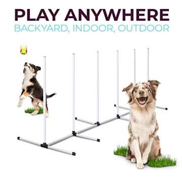 Complete Dog Agility Training Equipment Set for Fun Sessions