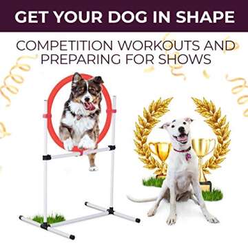 Complete Dog Agility Training Equipment Set for Fun Sessions