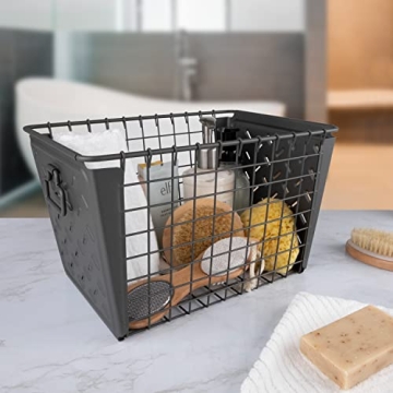 Spectrum Diversified Macklin Basket for Stylish Storage Solutions
