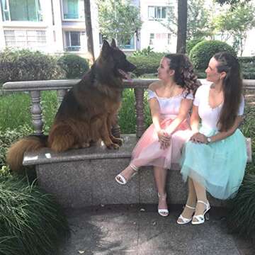 Dancina Women’s Knee Length Tutu A Line Tulle Skirt Plus Size 12-18 Black