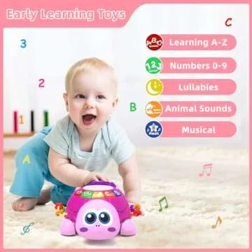 Hanayo Baby Musical Turtle Toy for 6-18 Months