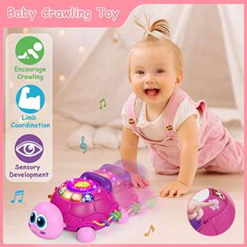 Hanayo Baby Musical Turtle Toy for 6-18 Months