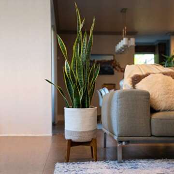 Common Decor Plant Basket for 10 inch Plant Pots Indoor, Modern Floor Basket Planter with Handles, Beautiful Indoor Planter Basket, Woven Plant Basket Size: 11" x 11"