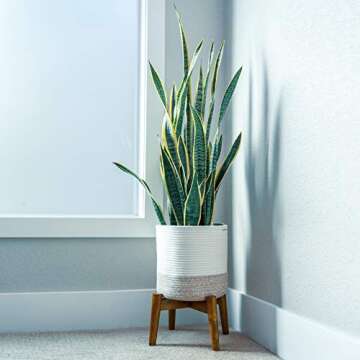 Common Decor Plant Basket for 10 inch Plant Pots Indoor, Modern Floor Basket Planter with Handles, Beautiful Indoor Planter Basket, Woven Plant Basket Size: 11" x 11"