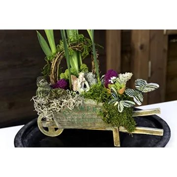 SuperMoss Preserved Moss Mix Vibrant & Versatile Decor