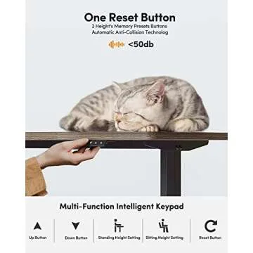 FEZIBO Height Adjustable Electric Standing Desk, 44 x 24 Inches Stand up Table, Sit Stand Home Office Desk with Splice Board