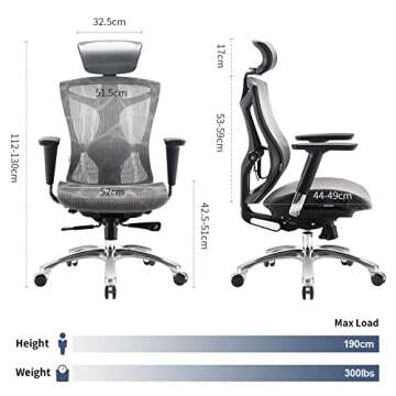 SIHOO Ergonomic Office Chair with 4D Arms, 2-Way Lumbar Support, Depth Adjustable Seat, PU Headrest, Height Adjustable Backrest, High Back Computer Desk Chair (Grey)