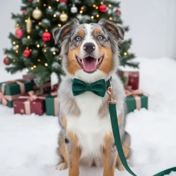 Personalized PETDURO Dog Collar with Rose Gold Buckle