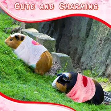 4 Pcs Ferret Clothes Hamster Sweater Guinea Pig Clothes Bunny Costume Knitted Sweatshirt for Warm Winter Valentine Christmas Vest Clothing Ferret Accessories Kit Small Animal Outfit (Heart Style)