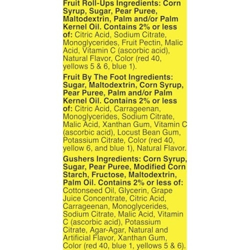 Fruit Snacks Variety Pack for Kids - 16 Count